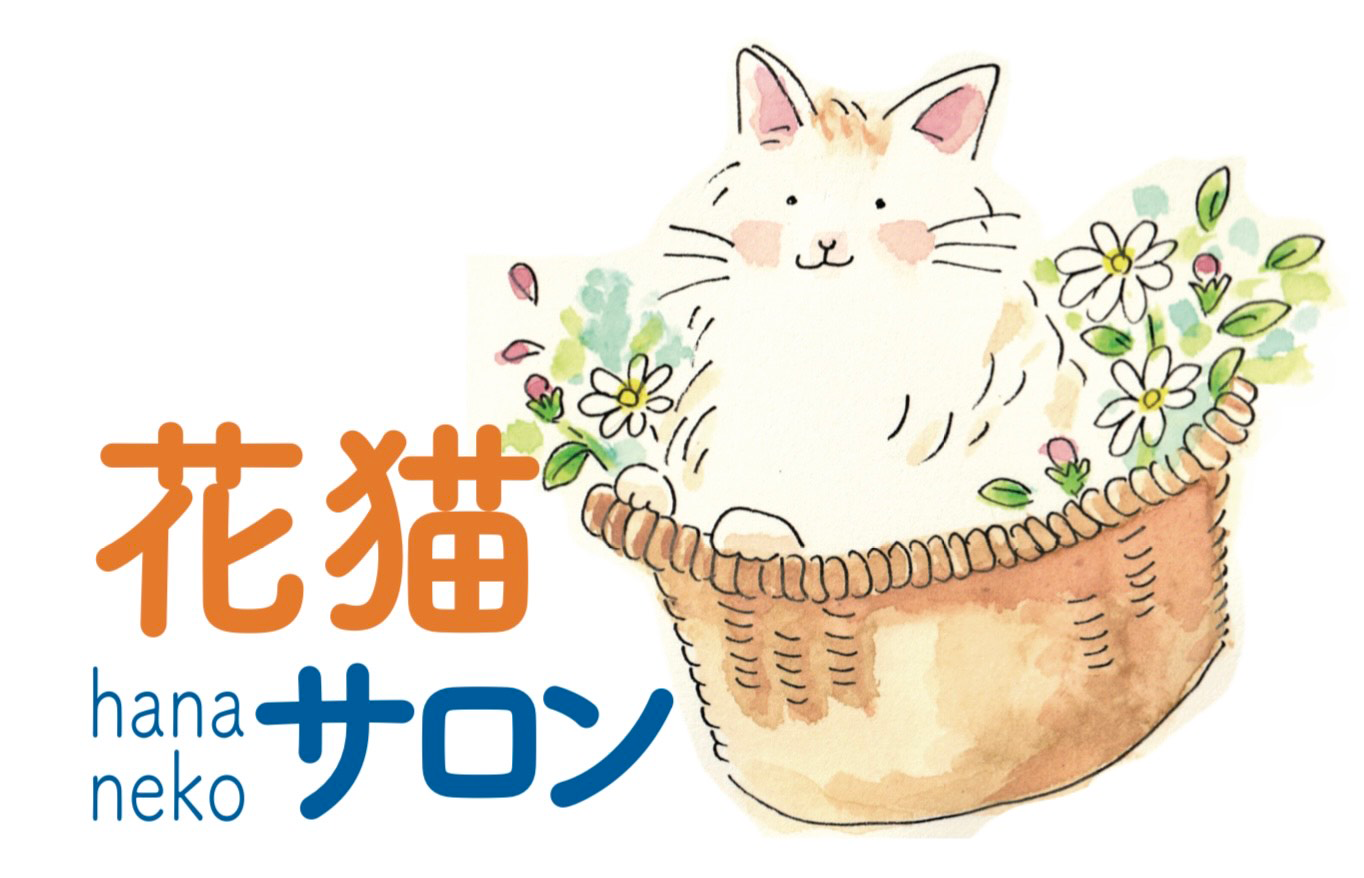 笠間市のネコ専門のペットサロンです。トリマー・キャットグルーマーがネコちゃんをシャンプーで綺麗に！